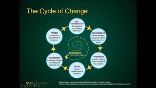 Understanding Change Theory [upl. by Nalor]