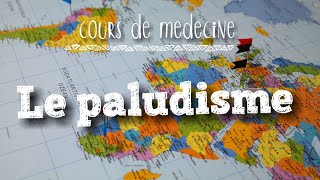 Paludisme  cours de médecinepaludism [upl. by Samalla]