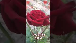 Hayırlı Cumalar İnşallah 🤲 En yeni Cuma Mesajları 🌷 Dini Videolar [upl. by Elbertine]