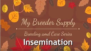 Successful Home Insemination Step By Step Process [upl. by Nylinnej596]