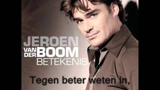 Jeroen van der BoomKaraokeInstrumentaalBetekenis [upl. by Leveroni]