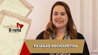 Explica Direito Filiação Socioafetiva  2019 [upl. by Awra]