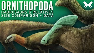 ORNITHOPODA Hadrosaurs and relatives Dinosaur size comparison Paleoart [upl. by Anawat]