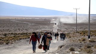 Presión migratoria en Tarapacá La peligrosa travesía por pleno desierto [upl. by Hewie]