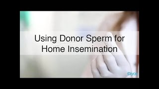 How to perform a Home Insemination [upl. by Eenor460]