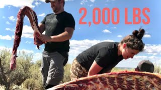 HUNTING BUTCHERING and COOKING  Utah Buffalo  Bison [upl. by Borras798]