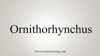 How To Say Ornithorhynchus [upl. by Nitsoj92]