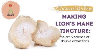 Advanced Tincture Making Double Extracted Lions Mane Mushroom [upl. by Ahcas]