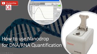 How to use Nanodrop to measure DNARNA [upl. by Alioz]