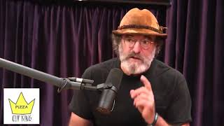 Paul Stamets telling Joe Rogan about the incredible benefits of Lions Mane mushrooms [upl. by Nyleuqaj65]