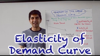 Elasticity of Labour Demand [upl. by Gemini14]