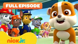 Rubble Joins the PAW Patrol and the Pups Save a Walrus  FULL EPISODES  Nick Jr [upl. by Nyrret]