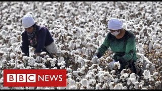 Nike and HampM face China backlash after warning of Uighur forced labour in cotton industry  BBC News [upl. by Snowber306]