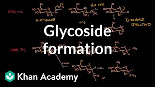 Carbohydrate  Glycoside formation hydrolysis  Chemical processes  MCAT  Khan Academy [upl. by Aneerehs]