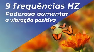 PODEROSA MÚSICA PARA ELEVAR VIBRAÇÃO POSITIVA  9 frequências Hz [upl. by Otaner862]