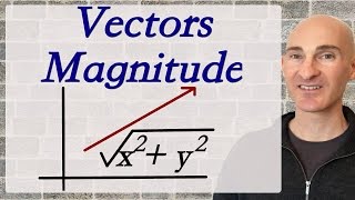 Magnitude of a Vector [upl. by Einaffyt2]