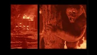 The Burning Orphanage Scene From quotMIGHTY JOE YOUNGquot 1949 [upl. by Bencion]