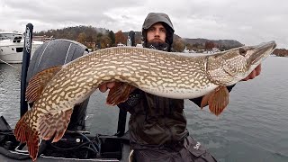 Pesca a Spinning ai GRANDI LUCCI del Lago Maggiore  Big Pike Fishing [upl. by Gnaw]