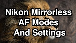 Nikon Mirrorless AF Modes And Settings [upl. by Mellman]