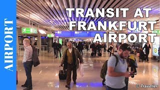 TRANSIT WALK AT FRANKFURT Airport FRA Terminal 1  Connection Flight Transfer Arriving amp Departing [upl. by Nevuer40]