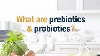 What Are Prebiotics and Probiotics  Herbalife Nutrition [upl. by Ahsienak386]